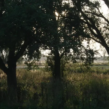 An Der Wiek *