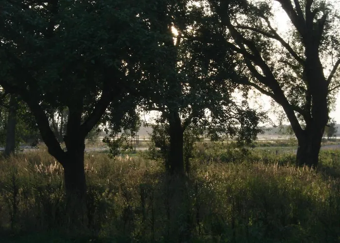 An Der Wiek *